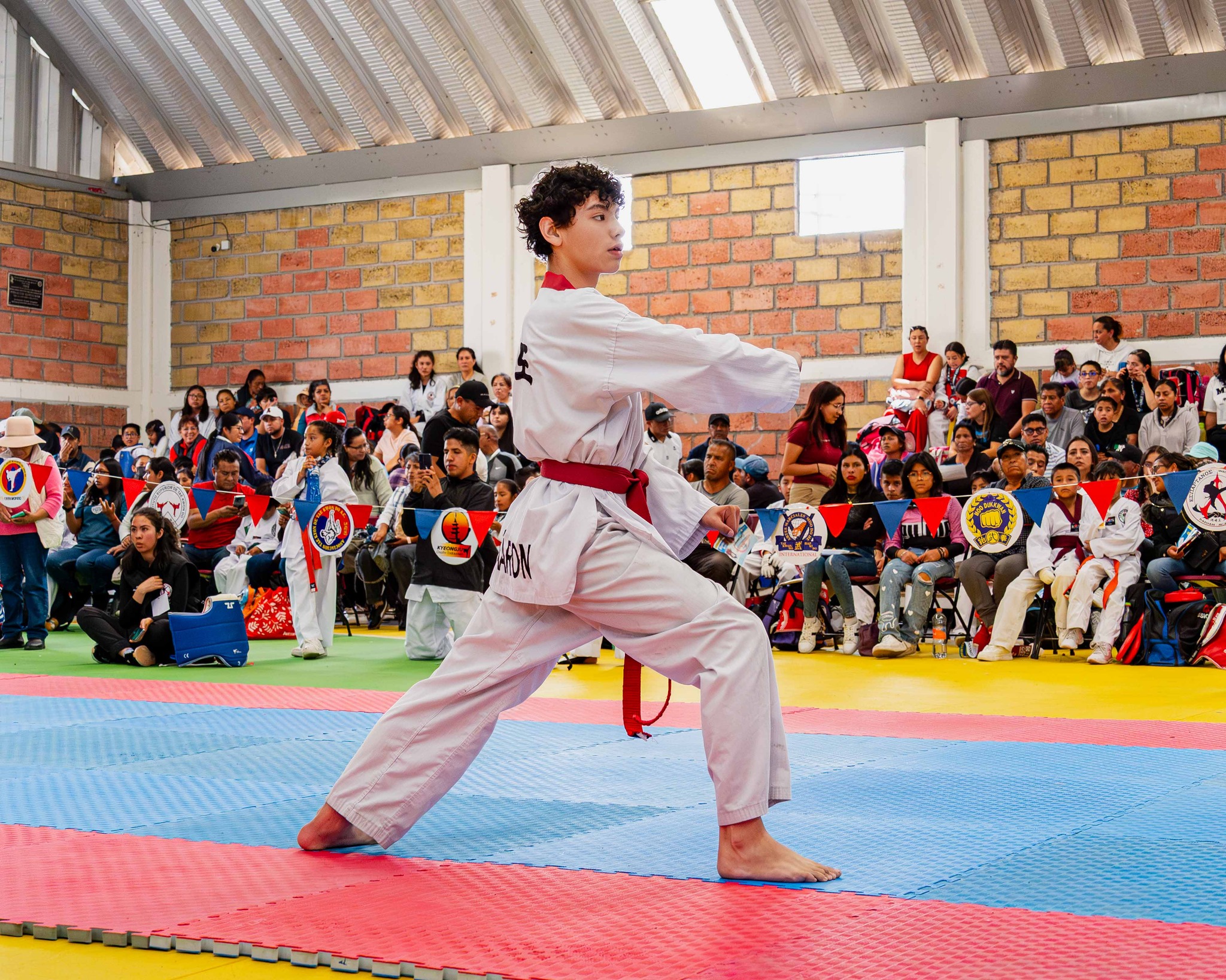Actividad cultural