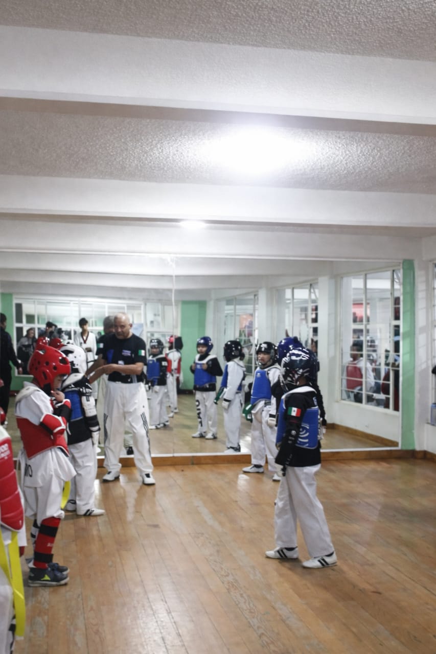 Taekwondo